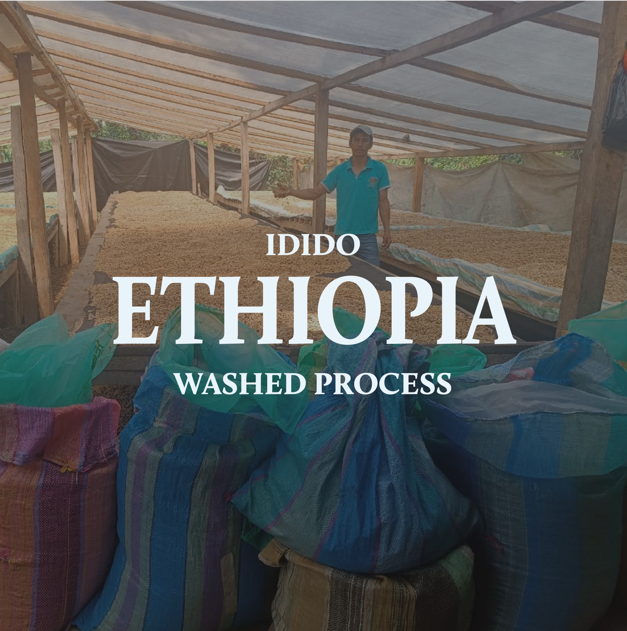 Ethiopia Idido Washed