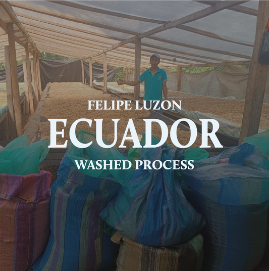 Ecuador Felipe Luzon Washed