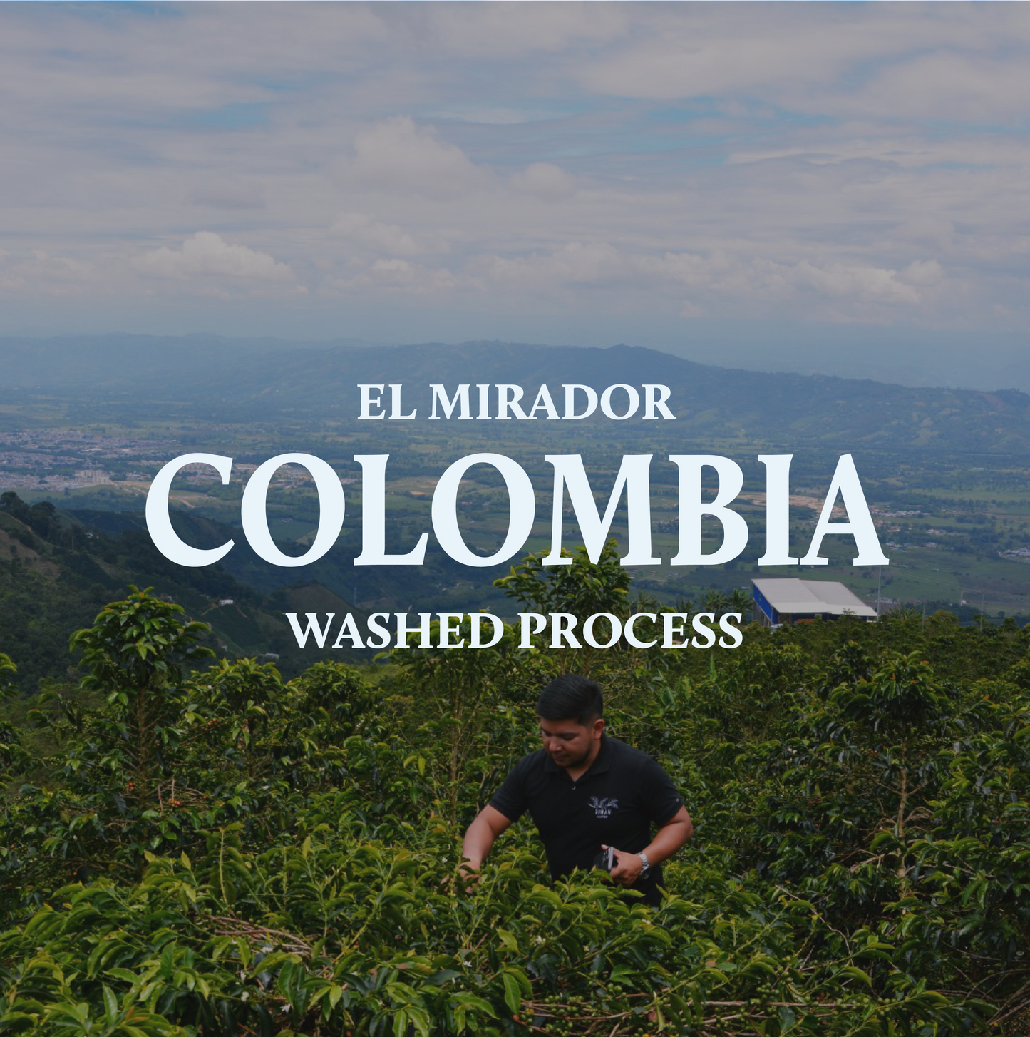 Colombia Manos Juntas Natural