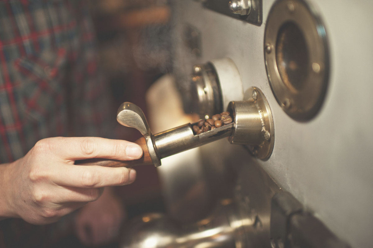 Groundwire Coffee Roasters - Specialty coffee roasted in Northfield, Minnesota