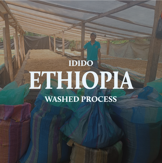 Ethiopia Idido Washed