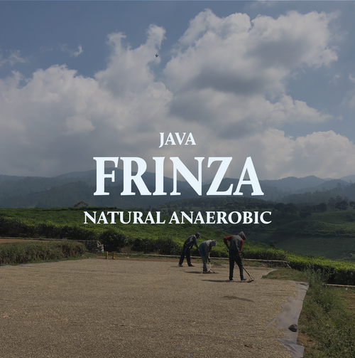 Java Frinsa Collective Anaerobic Natural