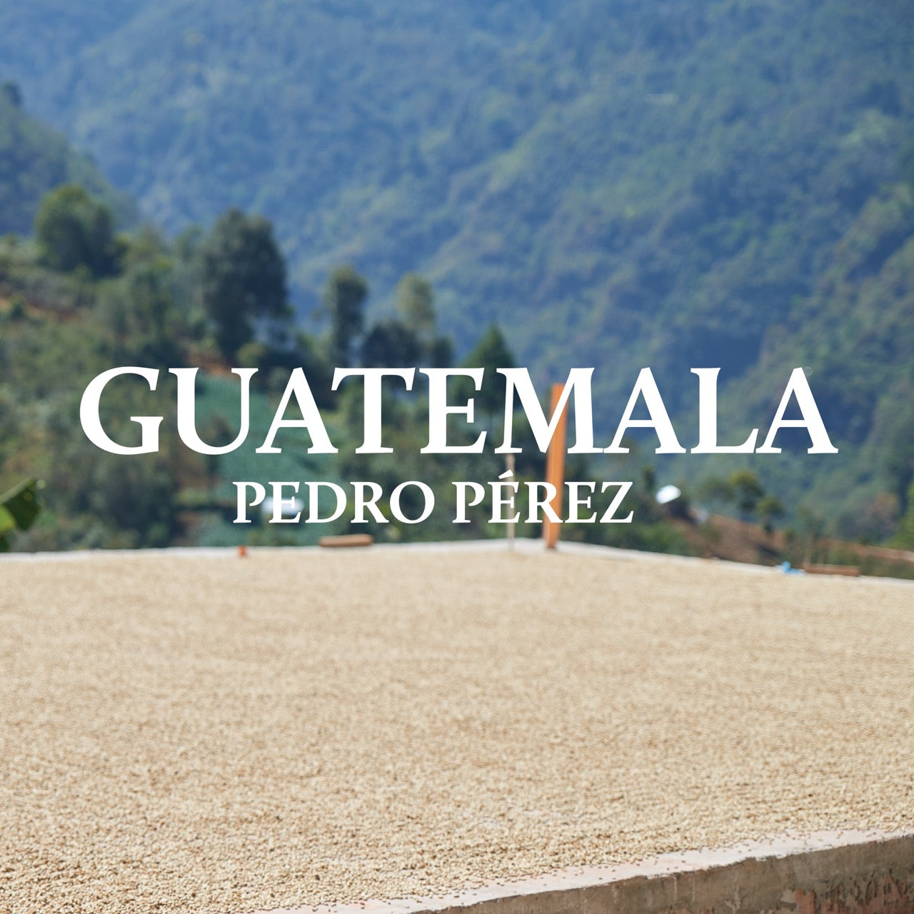 Guatemala Pedro Pérez