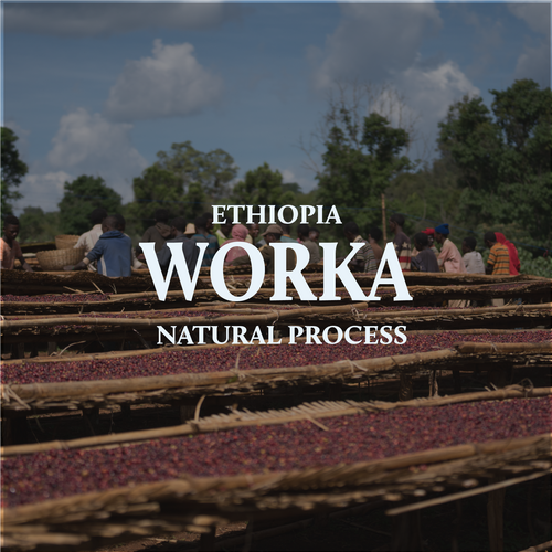 Ethiopia Worka Natural