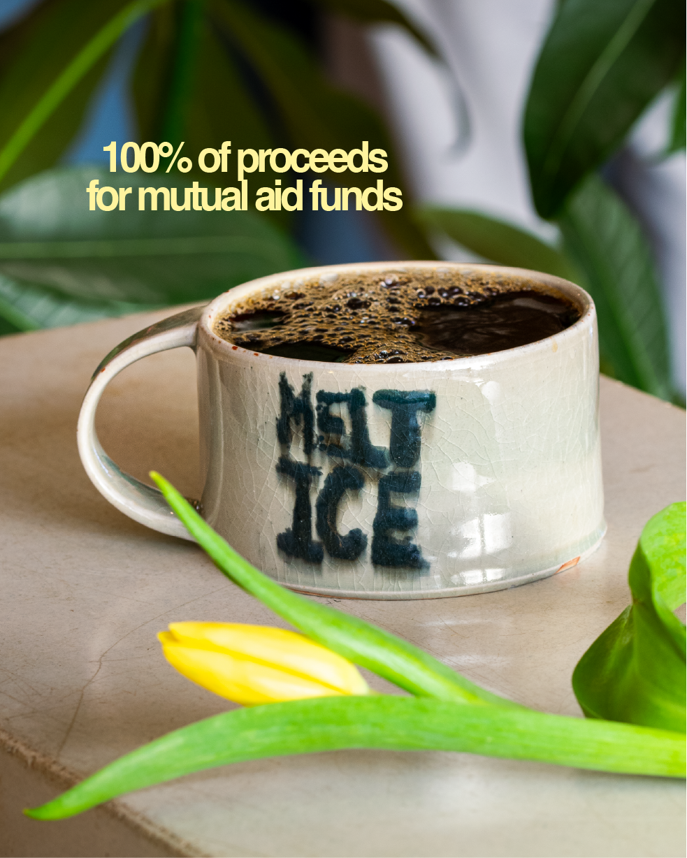 Melt Ice Mug for Charity