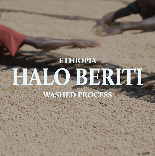 Ethiopia Halo Beriti Washed